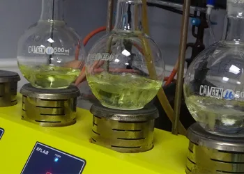 Kuru kayısıya ihracat öncesi kapsamlı inceleme