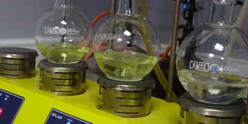 Kuru kayısıya ihracat öncesi kapsamlı inceleme