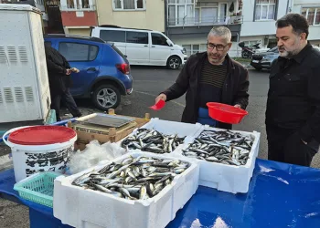 Tekirdağ’da seyyar tezgahlarda istavritin kilosu 150 liraya satılıyor