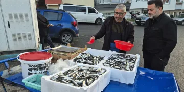 Tekirdağ’da seyyar tezgahlarda istavritin kilosu 150 liraya satılıyor