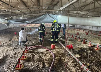Kız kardeşinin okumasını istemeyip 5 öğretmene saldıran ağabeye 8 yıl 6 ay hapis cezası