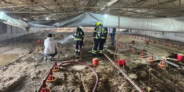 Kız kardeşinin okumasını istemeyip 5 öğretmene saldıran ağabeye 8 yıl 6 ay hapis cezası