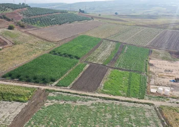 Tarım Nilüfer’de canlanıyor: Çiftçiye kooperatif desteği