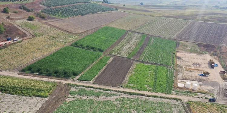 Tarım Nilüfer’de canlanıyor: Çiftçiye kooperatif desteği