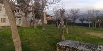 Park ve Yeşil Alanlarda Budama Çalışmaları Sürüyor