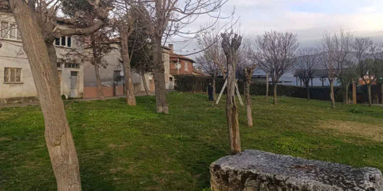 Park ve Yeşil Alanlarda Budama Çalışmaları Sürüyor