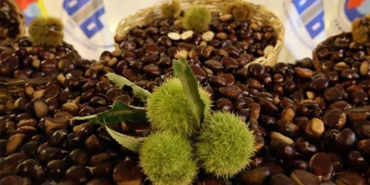 İnegöl’de drift atan ehliyetsiz sürücüye ceza