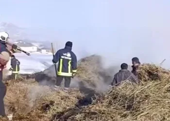 Artvin’de kaçak avcılar kameralara takıldı