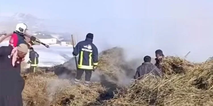 Artvin’de kaçak avcılar kameralara takıldı