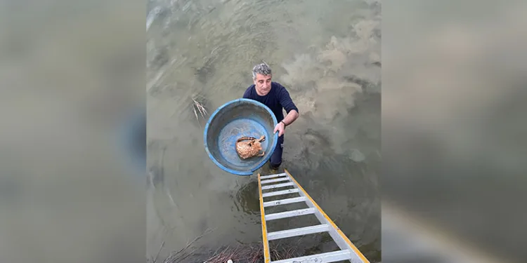 Amasya’da göçük altında kalan 2 kişinin cansız bedenlerine ulaşıldı