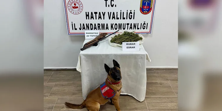 Kayseri’de 10 şahsa terörden işlem yapıldı