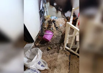 Diyarbakır’da facianın eşiğinden dönüldü