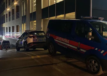 Ormanlık alanda korkunç cinayet: Dili ve kulakları kesildi
