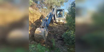 Tabanca temizlerken faciaya neden olmayın