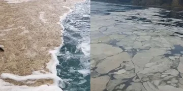 Gemlik Körfezi’nde müsilaj kabusu