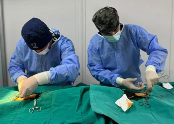 Osmangazi’de ayda ortalama 200 kedi kısırlaştırılıyor