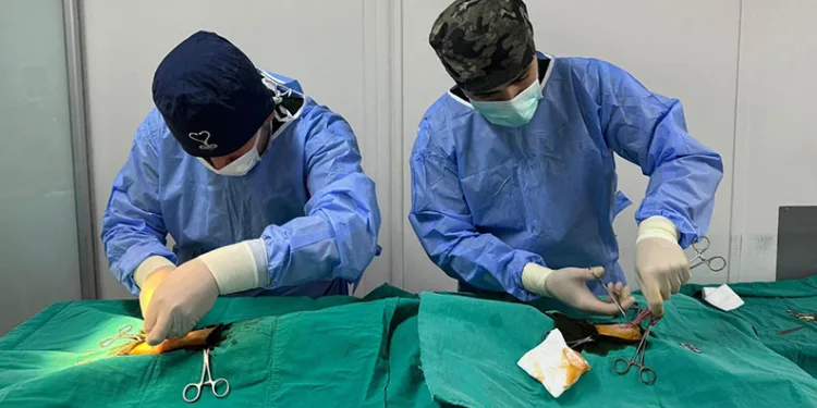 Osmangazi’de ayda ortalama 200 kedi kısırlaştırılıyor