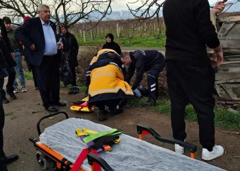 Iğdır’da akaryakıt kaçakçılığı operasyonu: 2 bin 463 litre kaçak akaryakıt ele geçirildi