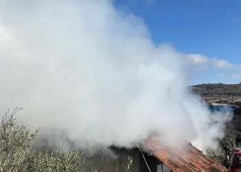 Antalya’da 1 haftada 448 şahıs yakalandı