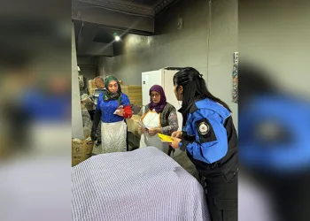 Kuyucak’ta köpek dövüşüne jandarma baskını: 3’ü organizatör, 52 şahıs yakalandı