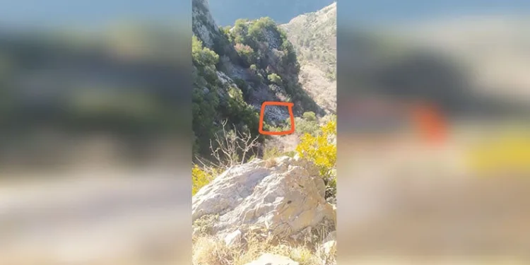 Artvin’de kaçak avcılar kameralara takıldı