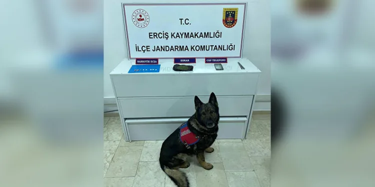 Salihli Jandarmanın 1 yılı böyle geçti