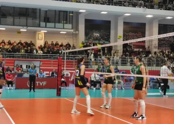 Fenerbahçe, Nilüfer Belediyespor maç sonucu: 3-0