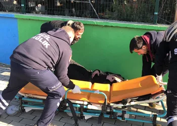 Eşi tarafından işkence edilerek vahşice öldürüldü
