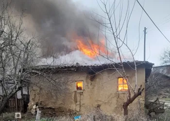 Çocuğu ezmişti, ev hapsi cezasının kaldırılmasını istedi