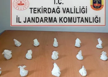 Camiyi kundaklayan psikolojik sorunları olan şahıs yakalandı