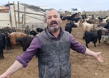 Tarihi eser kaçakçılarına yönelik operasyonda 243 eser ele geçirildi, 12 şüpheli yakalandı