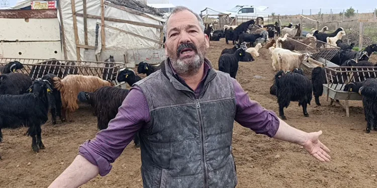 Tarihi eser kaçakçılarına yönelik operasyonda 243 eser ele geçirildi, 12 şüpheli yakalandı