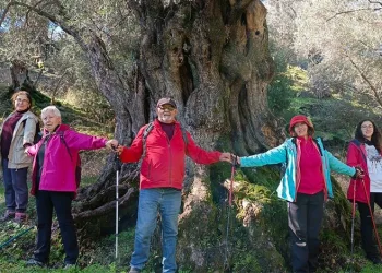 Mersin’de ‘Bir Hoş Seda’ konseri düzenlendi