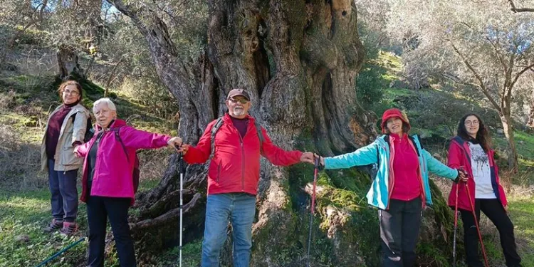 Mersin’de ‘Bir Hoş Seda’ konseri düzenlendi