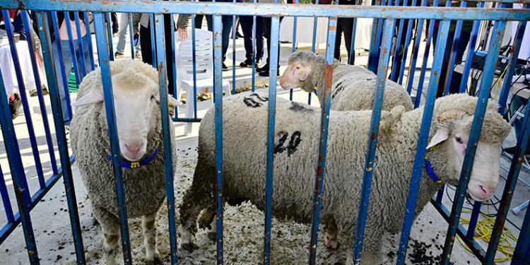 Vali Ali Çelik, şehit ve gazi ailelerini ziyaret etti