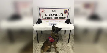 “Hakkımı helal etmiyorum” diye haykırdı