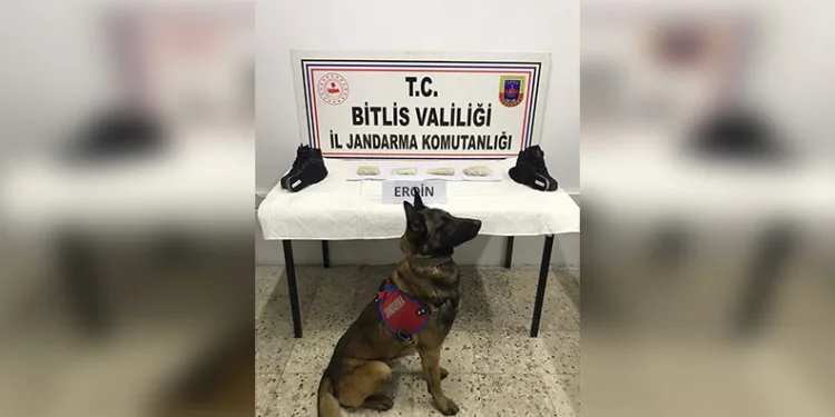 “Hakkımı helal etmiyorum” diye haykırdı