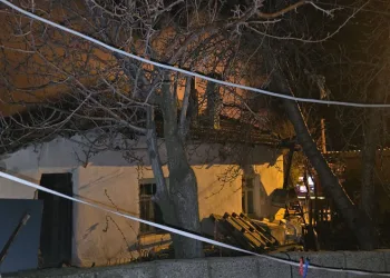 Mersin’de kaçakçılık operasyonu: 1 gözaltı