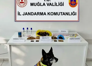Çamura saplanarak derede mahsur kalan inek, iş makinesiyle kurtarıldı
