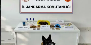 Çamura saplanarak derede mahsur kalan inek, iş makinesiyle kurtarıldı