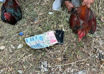 Ticaret Bakanlığı ekipleri lüks araç vurgununa engel oldu