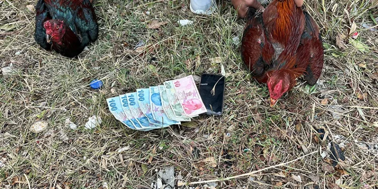 Ticaret Bakanlığı ekipleri lüks araç vurgununa engel oldu