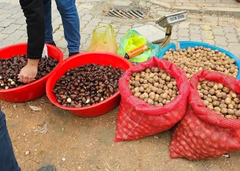 Erzincan’da bir miktar kaçak ve el yapımı alkol ele geçirildi