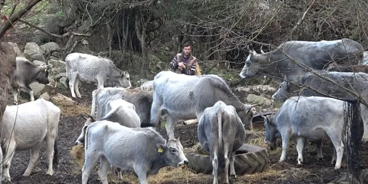 Bursa’da maden ocağında göçük: Patlatma sorumlusu hayatını kaybetti
