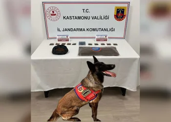 Adana’da kardeşlerin öldürüldüğü olayda ölü sayısı 3’e yükseldi