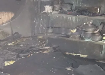 Ailesini katleden polis memuru 8 yıl önce güvercin kurtarmış