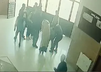 Artvin’de kaçak avcılar kameralara takıldı