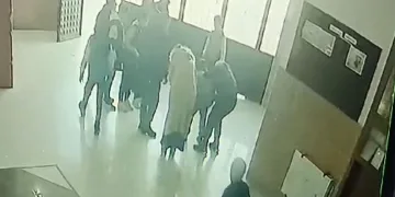 Artvin’de kaçak avcılar kameralara takıldı
