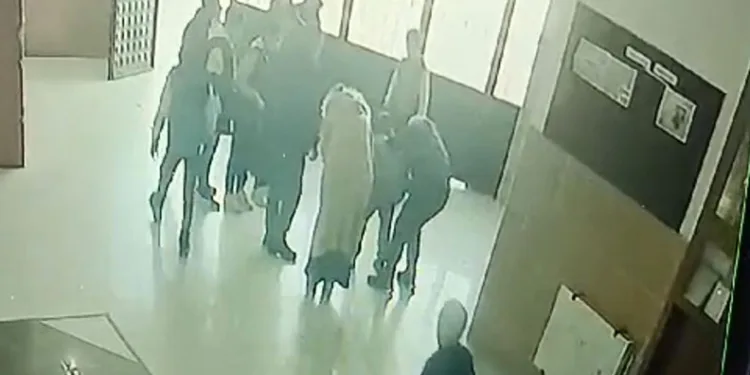 Artvin’de kaçak avcılar kameralara takıldı