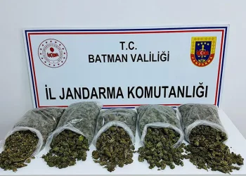Mersin’de kaçakçılık operasyonu: 1 gözaltı